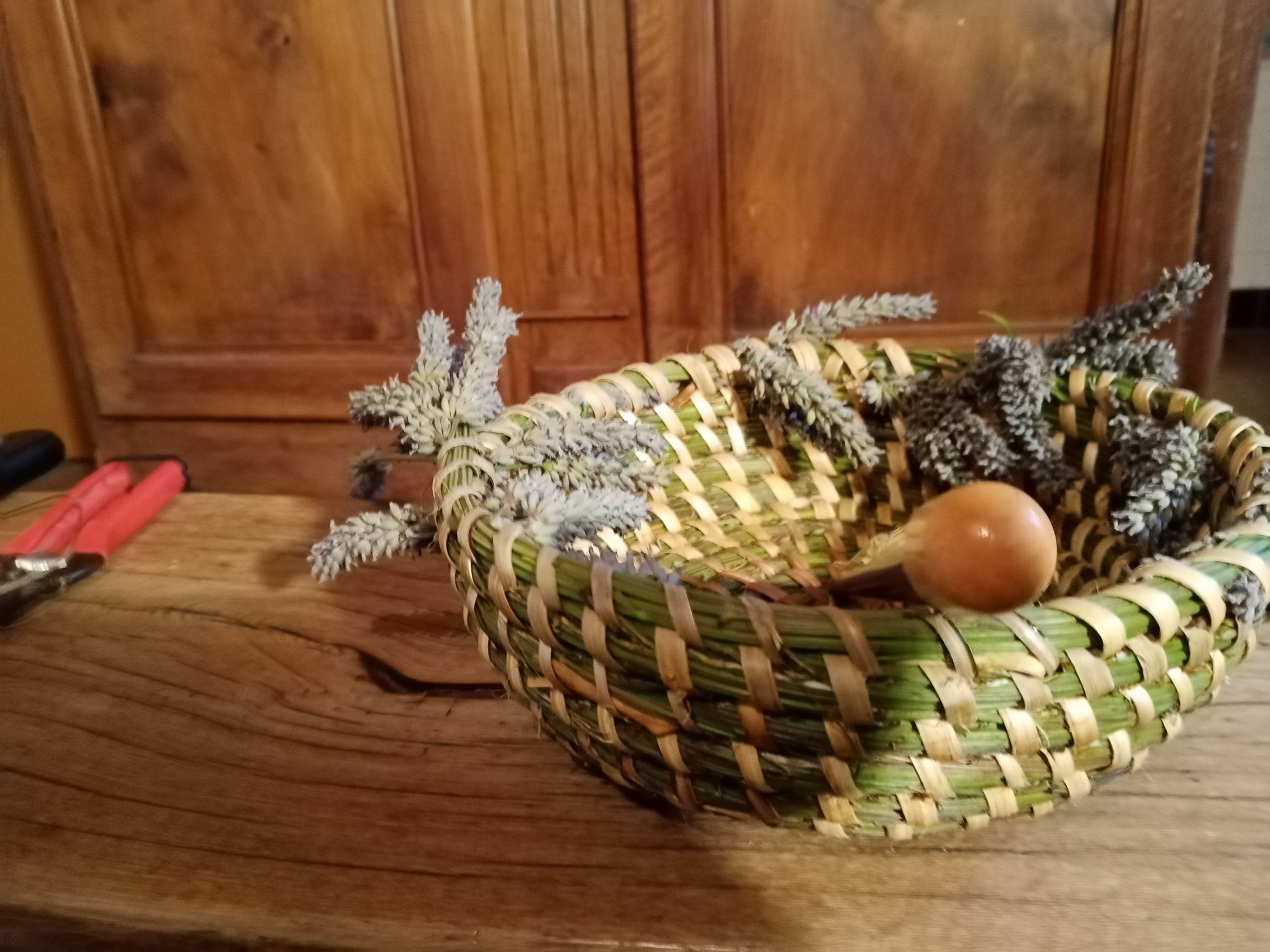 IMG_20240925_182750_resized_20241013_074751782