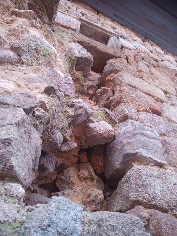 IMG-20250207-WA0003 (1)